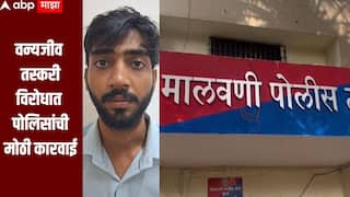 वन्यजीव तस्करीविरोधात मालवणी पोलिसांची मोठी कारवाई, 1.15 किलो अॅम्बरग्रीससह तरुणाला अटक 