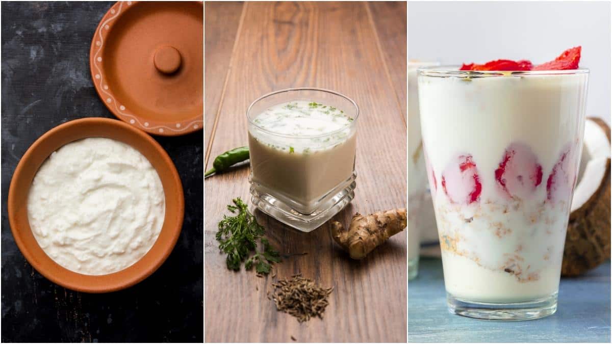 Curd vs Buttermilk vs Lassi : పెరుగు, మజ్జిగ, లస్సీ మధ్య తేడాలు ఇవే.. ఎప్పుడు తాగాలి? ఎందుకు తాగాలి? ఎలా తీసుకుంటే మంచిది?