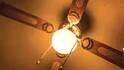 Ceiling Fan Electricity Bill: এক ঘণ্টায় কতটা বিদ্যুৎ খরচ করে সিলিং ফ্যান, হিসেবটা জানেন ?