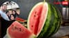 Mumbai Watermelon Death Case: तरबूज खाने से पूरे परिवार की मौत! बाजार से खरीदें फल तो इन बातों का रखें ध्यान, वरना हो जाएगी अनहोनी