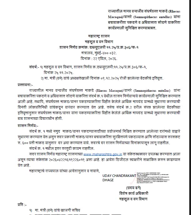 Monkey Conflict : माकड पकडा अन् 600 रुपये मिळवा, वन विभागाचा नवा जीआर