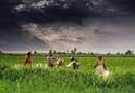 India Monsoon 2026 : ਦੇਸ਼ 'ਚ ਜਲਦੀ ਦਸਤਕ ਦੇਵੇਗਾ ਮਾਨਸੂਨ , ਸਮੇਂ ਤੋਂ ਪਹਿਲਾਂ ਹੋਵੇਗੀ ਬਾਰਿਸ਼, IMD ਨੇ ਕੀਤੀ ਭਵਿੱਖਬਾਣੀ