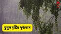 Weather : সারা সপ্তাহজুড়ে দাপট বৃষ্টির ! বজ্রবিদ্যুৎ, ঝোড়ো হাওয়া, বিরাট অঞ্চলে প্রভাব, বিরাট আপডেট IMD-র