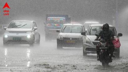 Weather Update: দ্বিতীয় দফার ভোটের দিন অর্থাৎ আগামীকাল ২৯ এপ্রিল বুধবার কেমন থাকতে চলেছে দক্ষিণবঙ্গের বিভিন্ন জেলার আবহাওয়া? কী জানিয়েছে আলিপুর আবহাওয়া দফতর, জেনে নিন।