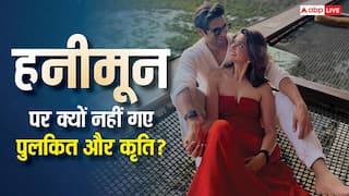 शादी के बाद क्यों हनीमून पर नहीं जा पाए पुलकित सम्राट और कृति खरबंदा? किया खुलासा