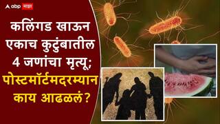 Watermelon Death Mumbai Pydhonie Family News: बिर्याणी आणि कलिंगड खाऊन संपूर्ण कुटुंब संपलं; मृतांच्या शरीरात आढळला हादरवणारा पदार्थ