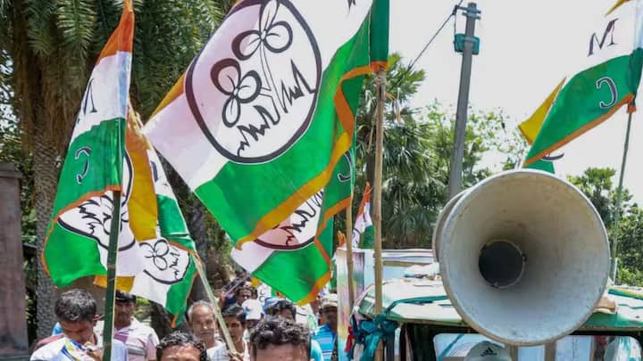 সেই তুলনায় তৃণমূল, DMK, AIADMK দলের অফিশিয়াল পেজে বিজ্ঞাপন দেয়। তবে থার্ড পার্টির উপর নির্ভরশীল ছিল তারা। তৃণমূল নেতৃত্ব এবং সমর্থকরা গুরুত্বপূর্ণ ভূমিকা পালন করেছেন। অভিষেক বন্দ্য়োপাধ্য়ায়ের অফিসিয়াল পেজ এবং আরও তিনটি পেজ থেকে সবচেয়ে বেশি খরচ হয়, ৩.৫ কোটি।