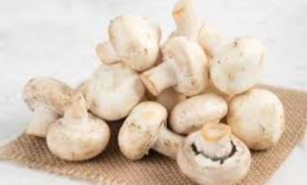ਮਸ਼ਰੂਮ- ਕੁਝ ਲੋਕ ਕੱਚੇ ਮਸ਼ਰੂਮ ਨੂੰ ਸਲਾਦ ਦੇ ਰੂਪ ਵਿਚ ਵੀ ਖਾਂਦੇ ਹਨ ਪਰ ਇਹ ਗਲਤ ਹੈ, ਮਸ਼ਰੂਮਾਂ ਨੂੰ ਪਕਾ ਕੇ ਖਾਣ ਨਾਲ ਤੁਹਾਨੂੰ ਪੋਸ਼ਕ ਤੱਤ ਮਿਲਦੇ ਹਨ। ਤੁਸੀਂ ਇਸ ਨੂੰ ਗ੍ਰੀਲ ਕਰਕੇ ਵੀ ਖਾ ਸਕਦੇ ਹੋ। ਗ੍ਰਿਲਡ ਮਸ਼ਰੂਮਜ਼ ਵਿਚ ਪੋਟਾਸ਼ੀਅਮ ਦੀ ਮਾਤਰਾ ਵਧਦੀ ਹੈ।