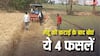 गेहूं के बाद लगाएं ये 4 फसलें, कम लागत में जमीन बनेगी सोना और मुनाफा होगा दोगुना