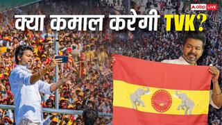 Explained: तमिलनाडु के सिर्फ 1 एग्जिट पोल में TVK की सरकार! MGR और जयललिता के बाद CM बनेंगे 'थलापति', या रहेंगे मजबूत विपक्ष?
