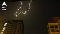Lightning Precaution: রাজ্যে বাজ পড়ে মৃত্যুর সংখ্যা বাড়ছে, বাঁচার উপায় কী? কী বলছেন বিশেষজ্ঞরা?