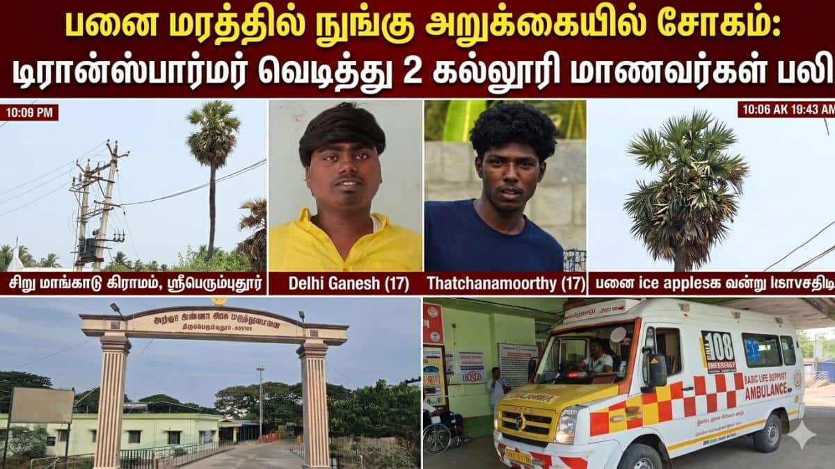 பனை மரம் ஏறியபோது நேர்ந்த விபரீதம்: டிரான்ஸ்பார்மர் வெடித்து 2 மாணவர்கள் உயிரிழப்பு!