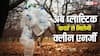 अब प्लास्टिक वेस्ट से बनेगा क्लीन फ्यूल, जानें सूरज की रोशनी से कैसे होगा यह काम?