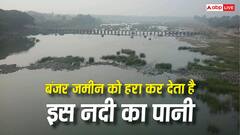 किसानों के लिए वरदान है इस नदी का पानी! बंजर मिट्टी में भी फूंक देता है जान