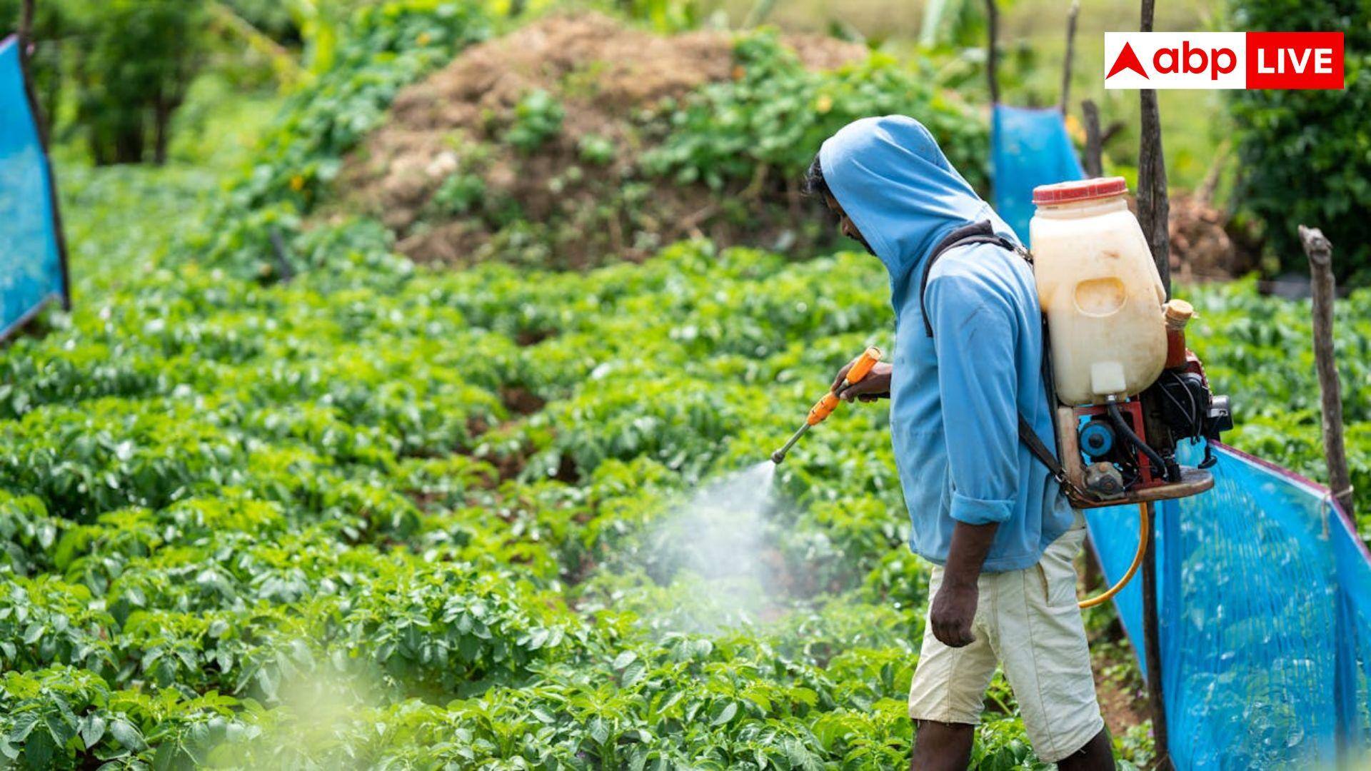 Homemade Pesticide: घर में भी बना सकते हैं कीटनाशक, जानिए इसका आसान तरीका, साल के बचेंगे हजारों रुपये