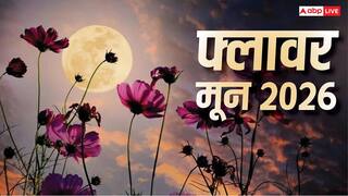 Flower Moon 2026: मई की पूर्णिमा को क्यों कहते हैं फ्लावर मून, जानें आज कब और कैसे देखें माइक्रो मून