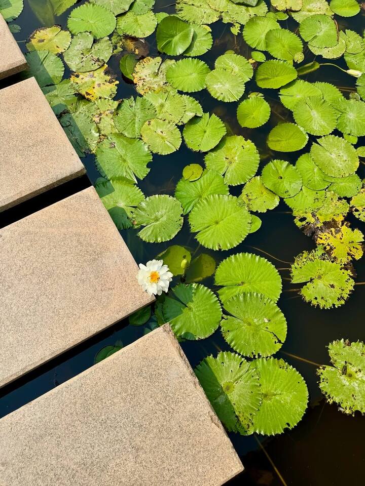 तिचा बोल्ड अंदाज पाहून चाहते फिदा झाले आहेत. नेटकऱ्यांनी अभिनेत्रीच्या पोस्टवर लाइक्स आणि कमेंट्सचा वर्षाव केला आहे.
