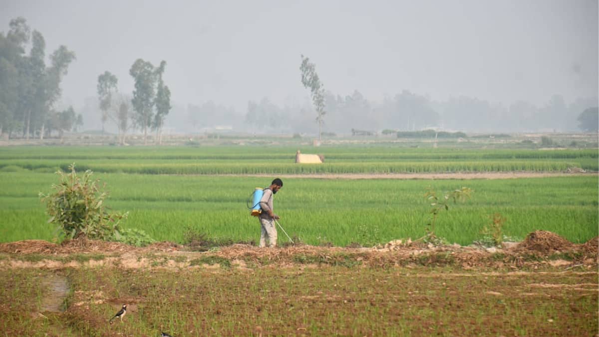 Iran War Could Trigger Food Shortages; Billions Of Meals At Risk: Fertiliser Giant