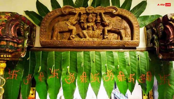 वास्तु शास्त्र के अनुसार तोरण लगाने से घर में पॉजिटिविटी के साथ शुद्धता भी आती है. इससे घर के सदस्य स्वस्थ और समृद्ध रहते हैं लेकिन अगर आपने आम या अशोक के पत्तों का तोरण लगाया है तो उसे लंबे समय तक लगे न रहने दें, क्योंकि वास्तु अनुसार जैसे ही इसके पत्ते सूखते हैं हमारा हरा भरा जीवन में भी सूखने लगता है. तनाव परेशानियां आने लगती है.
