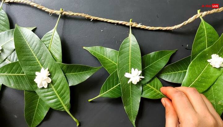 वास्तु में तोरण बदलने के भी कुछ विशेष दिन है जैसे मंगलवार, गुरुवार, शनिवार, या फिर एकादशी और पूर्णिमा. इन दिनों पर बदलाव करना शुभ और सकारात्मक माना जाता है. लेकिन इसे कूड़ेदान में न फेंके. कहीं मिट्टी में दबा दें या फिर बहते पानी में प्रवाहित कर दें.