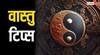 Vastu Tips : घरात उगवलेलं पिंपळाचं झाड शुभ की अशुभ? वनस्पतींशी संबंधित 'हे' 5 नियम तुम्हाला माहीत आहेत का?