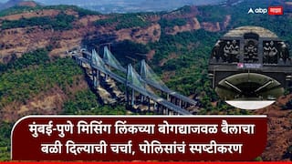 Mumbai Pune Missing Link: मुंबई-पुणे मिसिंग लिंकच्या बोगद्याजवळ बैलाचा बळी दिल्याची चर्चा, रक्त धुतानाचा व्हिडीओ कुठून आला? पोलिसांनी वृत्त फेटाळून लावलं, म्हणाले...