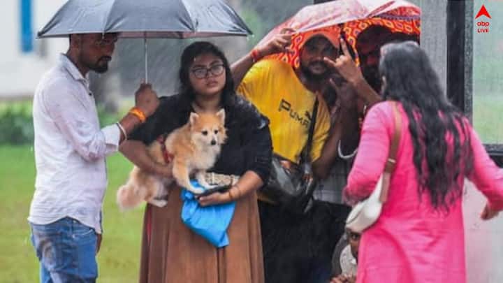 কলকাতা, হাওড়া, হুগলি, উত্তর ও দক্ষিণ ২৪ পরগনা, পূর্ব ও পশ্চিম বর্ধমান, বাঁকুড়া, পশ্চিম মেদিনীপুর জেলাতে বজ্রবিদ্যুৎ-সহ হালকা মাঝারি বৃষ্টির সঙ্গে ৫০ থেকে ৬০ কিলোমিটার গতিবেগে দমকা ঝড়ো বাতাস বইবে।