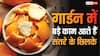 गार्डन के लिए वरदान हैं संतरे के छिलके, खाद से लेकर कीटनाशक तक, जानें इनके 3 जबरदस्त फायदे