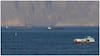 MT Sarv Shakti Safely Crosses Strait of Hormuz Amid US Iran War, Set To Reach Vizag on May 13
