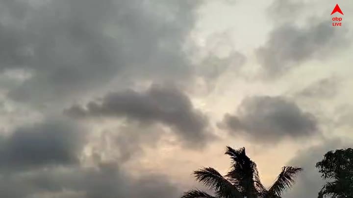 বজ্রবিদ্যুৎ সহ বৃষ্টির সঙ্গে দমকা ঝড়ো বাতাসের সম্ভাবনা।রবি ও সোমবার এই দুদিন কলকাতা সহ দক্ষিণবঙ্গের বেশিরভাগ জেলাতে ফের ঝড় বৃষ্টির প্রভাব বাড়বে। কলকাতা উত্তর ও দক্ষিণ ২৪ পরগনা পূর্ব ও পশ্চিম বর্ধমান হাওড়া হুগলি বাঁকুড়া পশ্চিম মেদিনীপুর জেলাতে কালবৈশাখীর সর্তকতা।