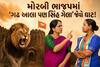 મોરબી ભાજપમાં 'ગઢ આલા પણ સિંહ ગેલા' જેવો ઘાટ! બહુમતી મળવા છતાં કોંગ્રેસના ઉમેદવાર બનશે જિલ્લા પંચાયત પ્રમુખ