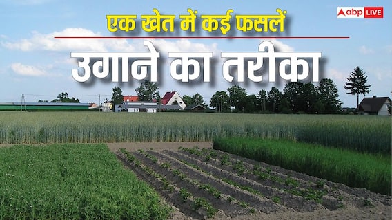 एक खेत फसलें अनेक... ऐसे करेंगे खेती तो डबल नहीं मल्टीपल हो जाएगी कमाई एक खेत फसलें अनेक... ऐसे करेंगे खेती तो डबल नहीं मल्टीपल हो जाएगी कमाई