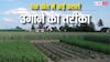 एक खेत फसलें अनेक... ऐसे करेंगे खेती तो डबल नहीं मल्टीपल हो जाएगी कमाई