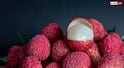 Litchi Benefits : ਲੀਚੀ ਖਾਣ ਨਾਲ ਸਰੀਰ ਨੂੰ ਹੁੰਦੇ ਹਨ ਕਈ ਫਾਇਦੇ