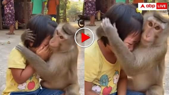 Video: बंदर ने दिखाई इंसानियत, रोती बच्ची को गले लगाकर किया प्यार, वीडियो देख भावुक हुआ इंटरनेट Video: बंदर ने दिखाई इंसानियत, रोती बच्ची को गले लगाकर किया प्यार, वीडियो देख भावुक हुआ इंटरनेट