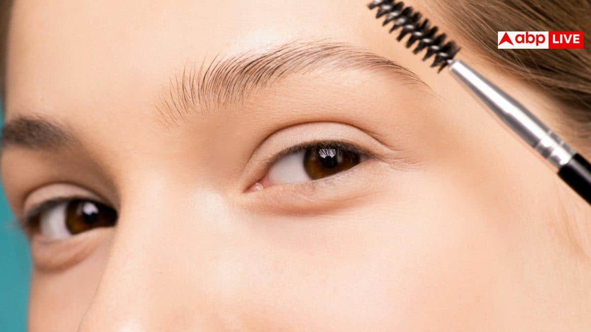 Eyebrow Function: चेहरे पर क्यों होती हैं भौंहें? सिर्फ पसीना रोकना नहीं, जानिए इसका असली काम