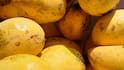 Real Vs Fake Mango: बाजार से नकली दशहरी तो नहीं खरीद रहे आप? ऐसे करें असली आम की पहचान