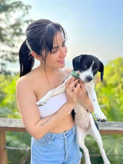 Amy Aela Photo: અભિનેત્રી એમી એલાએ કેમેરા સામે આપ્યા કિલર પોઝ