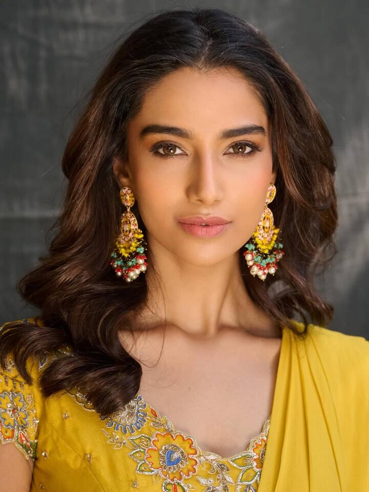2017లో మెడలింగ్ లో అడుగుపెట్టింది.. 2018లో Femina Miss Indiaలో హర్యానా తరపున పాల్గొని 1st Runner-up గా నిలిచింది. 2019లో హిందీ వెబ్ సిరీస్ ద్వారా కెరీర్ స్టార్ట్ చేసిన మీనూ..ఇచ్చట వాహనములు నిలుపరాదు సినిమాతో టాలీవుడ్ లో అడుగుపెట్టింది