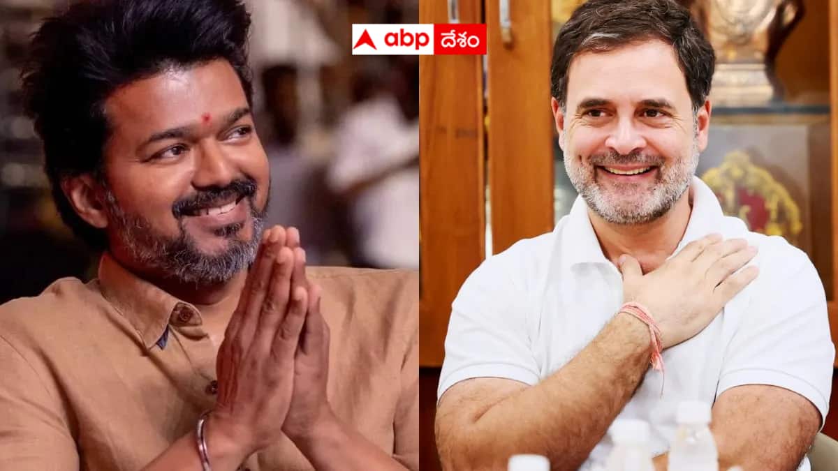 Tamil Nadu Assembly Elections: కాంగ్రెస్ మద్దతు అడిగిన విజయ్ - ఎమ్మెల్యేలకే వదిలేసిన రాహుల్ - డీఎంకేకు షాకిచ్చినట్లే!?