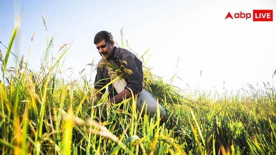 High Profit Farming: खेती के लिए जगह है कम, इस तरह करेंगे काम तो होगा तगड़ा मुनाफा High Profit Farming: खेती के लिए जगह है कम, इस तरह करेंगे काम तो होगा तगड़ा मुनाफा