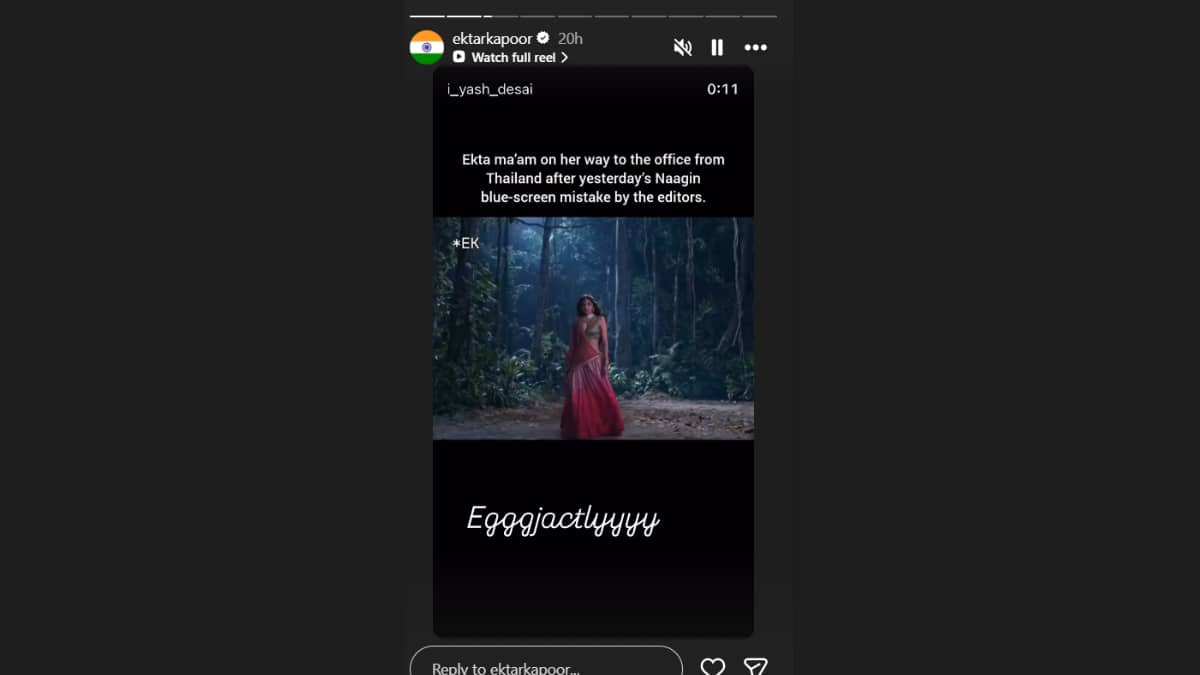 (Image Source: Instagram/@ektarkapoor)