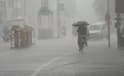 Gujarat Rain: ભર ઉનાળે રાજ્યના વાતાવરણમાં અચાનક પલટો, 3 તાલુકામાં ખાબક્યો વરસાદ
