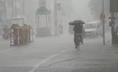 Gujarat Rain: ભર ઉનાળે રાજ્યના વાતાવરણમાં અચાનક પલટો, 3 તાલુકામાં ખાબક્યો વરસાદ