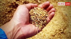Farming In Summer: गर्मी और जल संकट के हो आसार तो बोएं ये फसलें, सालों साल मिलेगा मुनाफा