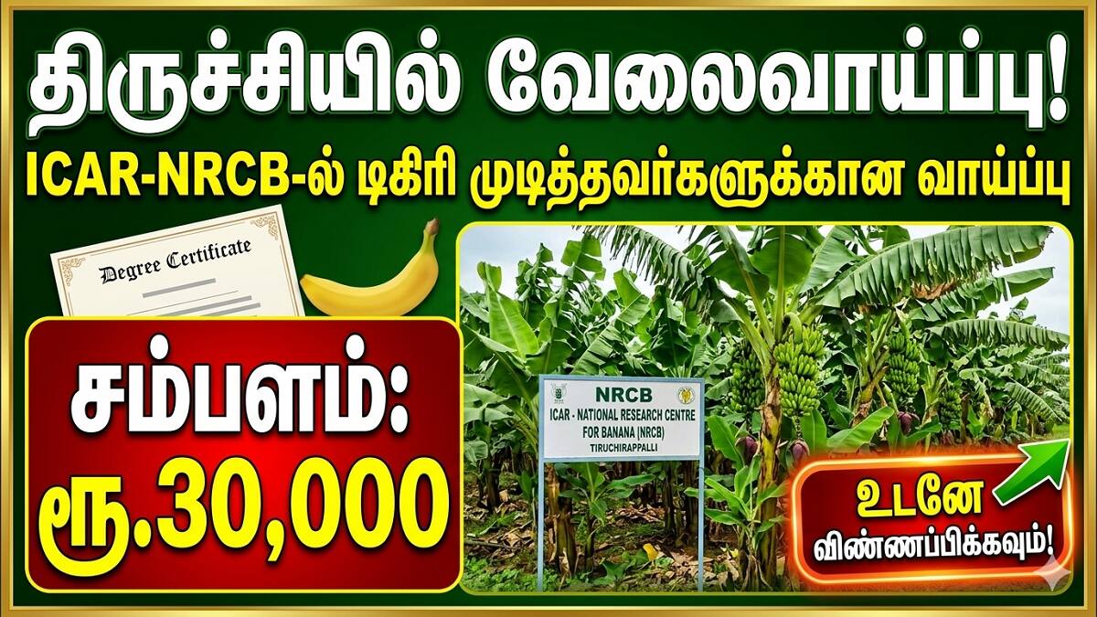 ஜாப் தேடுறவர்களுக்கு ஜாக்பாட்… திருச்சியில் பெரிய வாய்ப்பு!