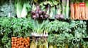 Healthy foods for Bones: आपकी हड्डियों को मजबूत कर देंगे ये देसी फूड, 40 के बाद भी बोल्ट की तरह दौड़ेंगे आप