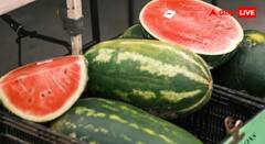 Watermelon Health Tips:  શું તમે પણ ખોટી રીતે ખાવ છો તરબૂચ? રાત્રે ભૂલથી પણ ના કરો આ કામ