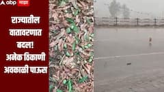 राज्यातील वातावरणात बदल, एका बाजुला उन्हाचा चटका, तर दुसऱ्या बाजूला अवकाळी पावसाचा फटका, शेतकरी चिंतेत