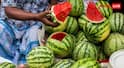 Watermelon Health Tips:  શું તમે પણ ખોટી રીતે ખાવ છો તરબૂચ? રાત્રે ભૂલથી પણ ના કરો આ કામ